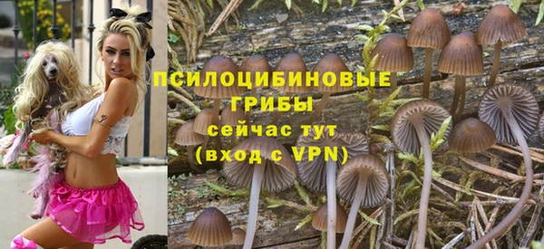 гидропоника Алексин