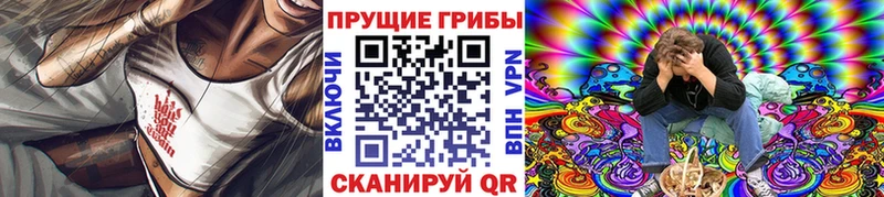 мега зеркало  Тавда  Галлюциногенные грибы Magic Shrooms 